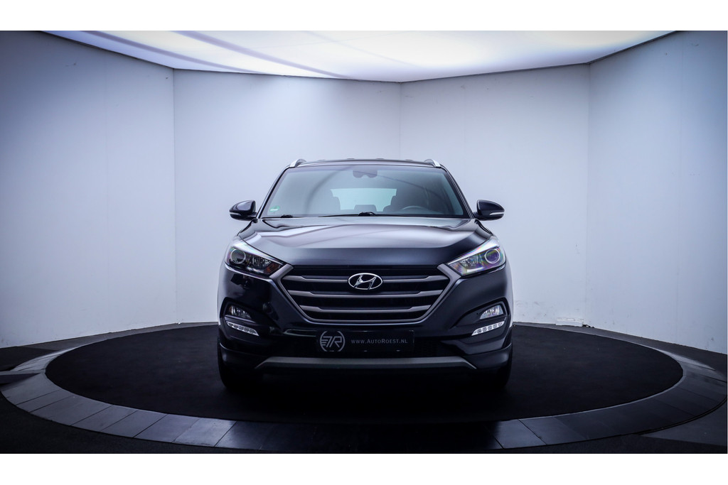 52115675-1.jpg